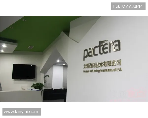 广州排球队防反战术解析与热点动态深度剖析