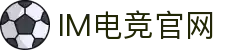 IM(股份有限公司)电竞-电子竞技平台